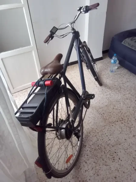 Vélo Électrique - 1
