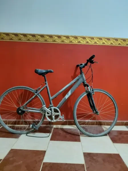 Velo Viper - 1