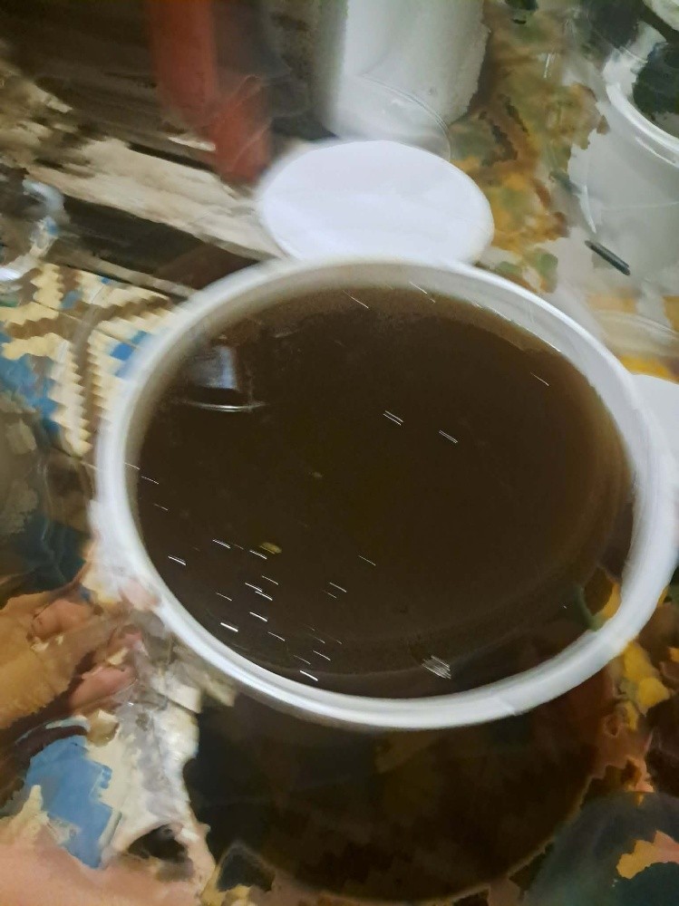 عسل سدر حر شباب - 1