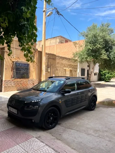 Citroen C4 Cactus 2015 - 3