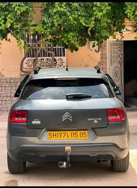 Citroen C4 Cactus 2015 - 1