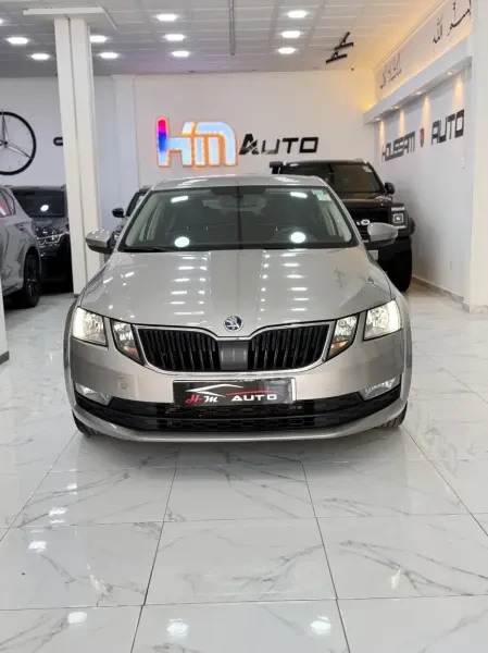 Skoda Octavia 2019 Business - 2