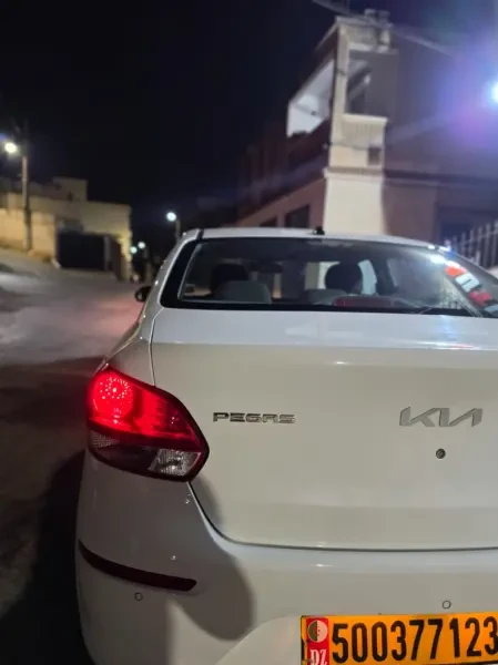 Kia Pegas 2023 LX - 3