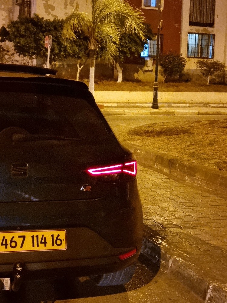 ليون - 1