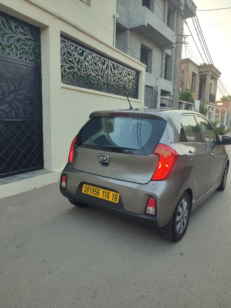 Picanto - 8