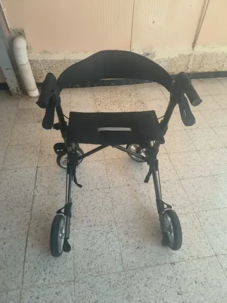 Dembulateur - 1