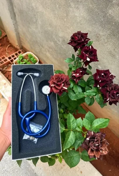 Stéthoscope Littmann Pédiatrique - 1