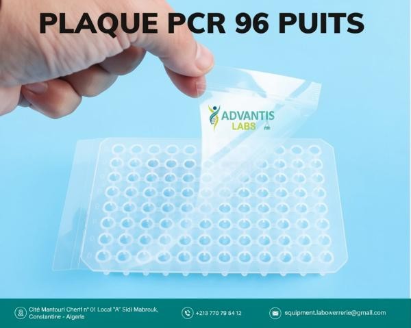 Plaque PCR - 1