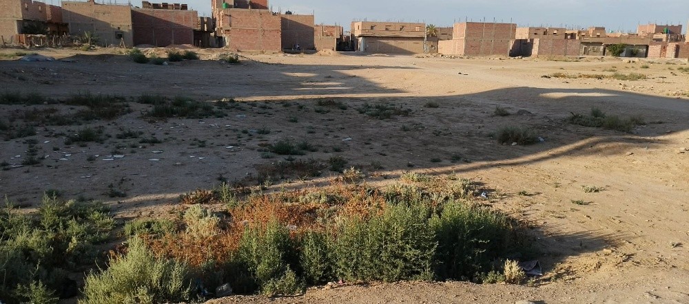ارض سكنية - 2