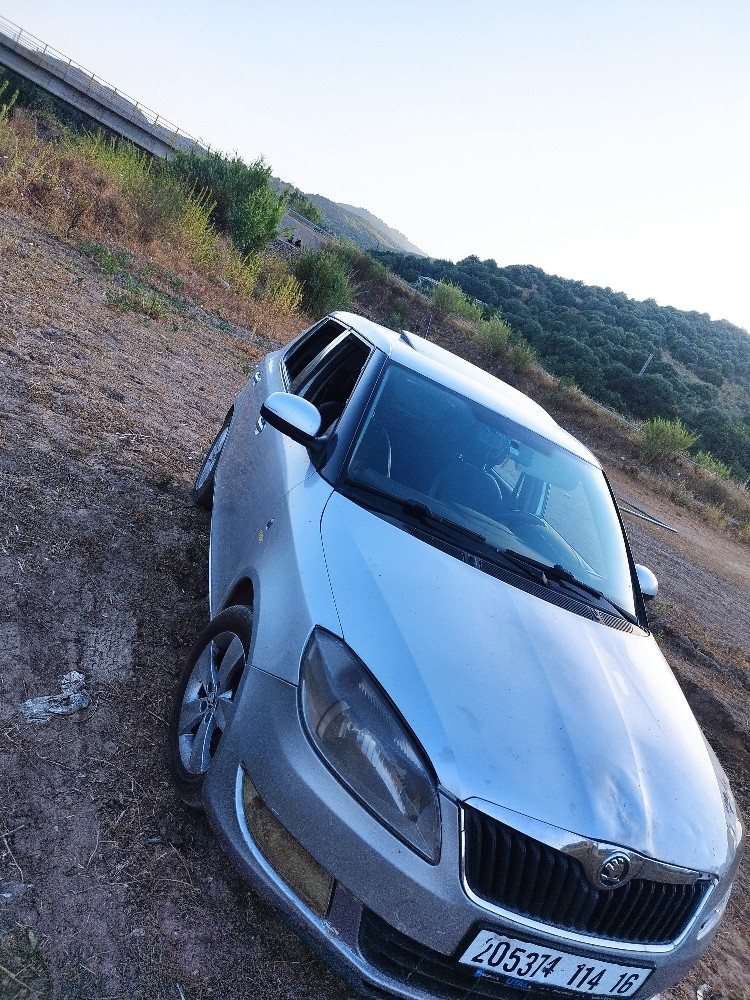 skoda fabia - 2