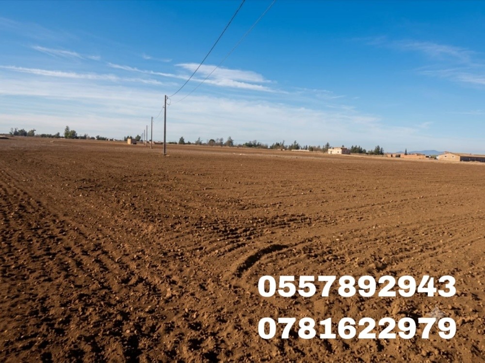 terres agricoles - 2