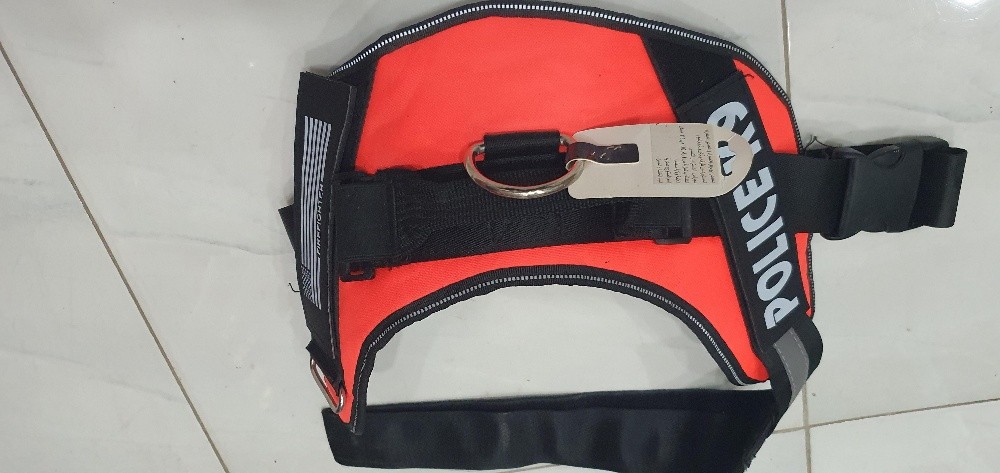 accessoires pour chats et chiens - 11