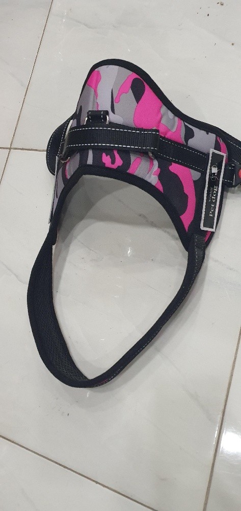 accessoires pour chats et chiens - 14