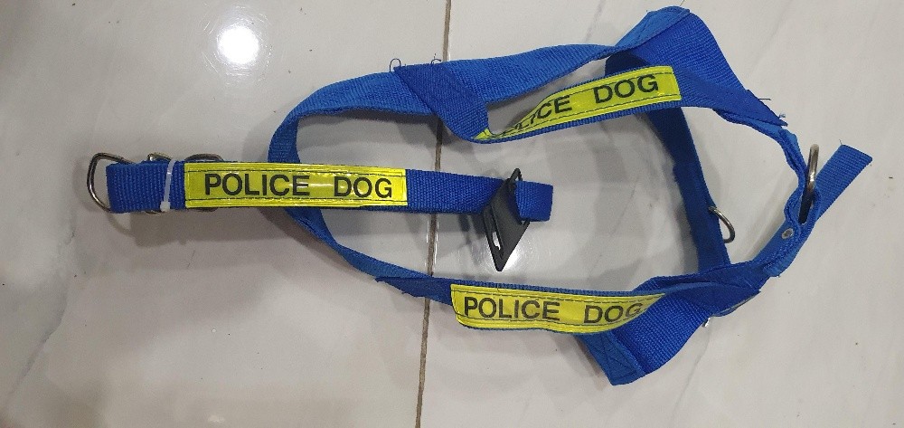 accessoires pour chats et chiens - 13