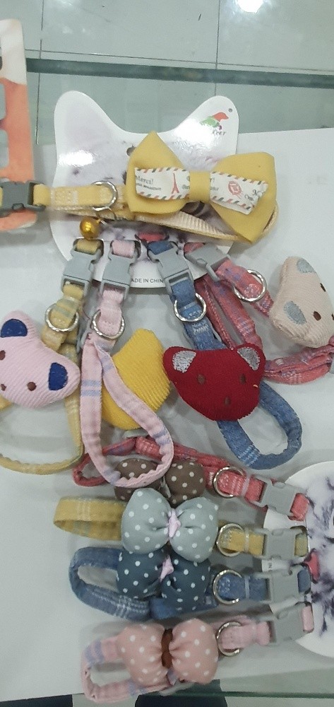 accessoires pour chats et chiens - 2