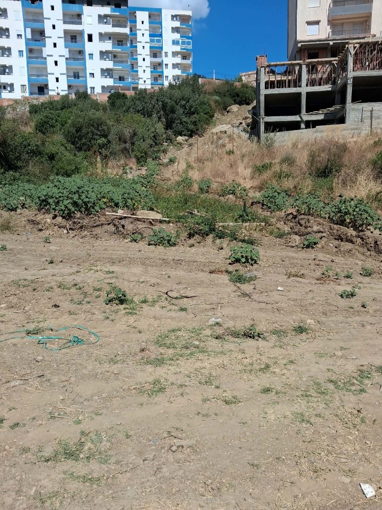 قطعة ترابية - 2