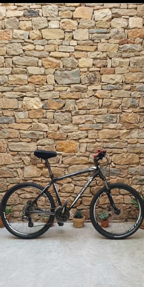 Specialized - 2