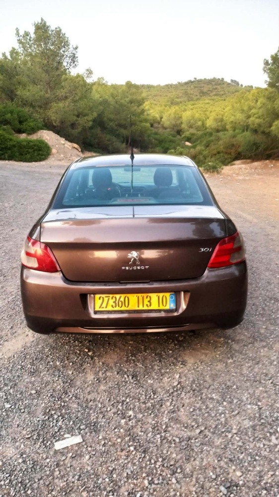 301 بيجو - 4