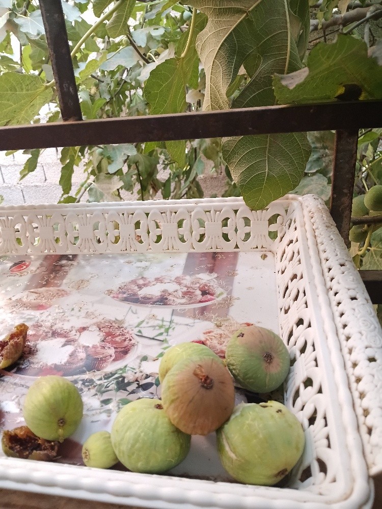 منزل للبيع - 2