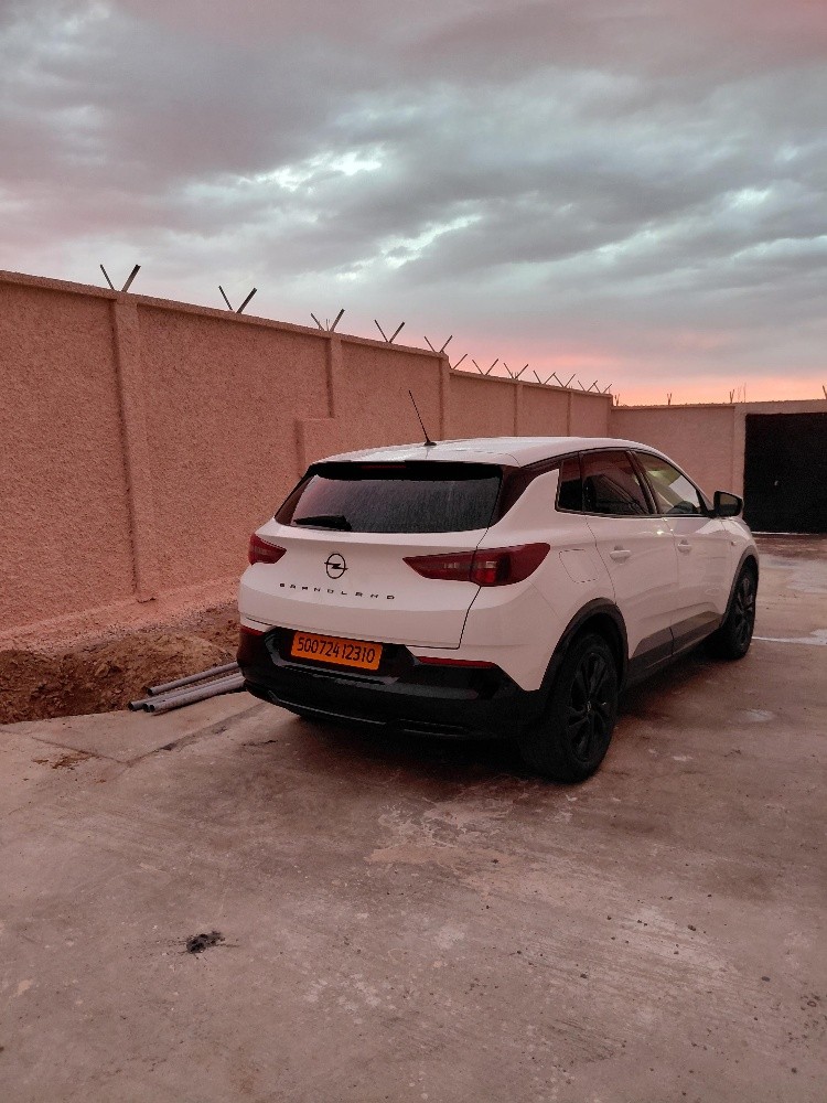 opel - 4