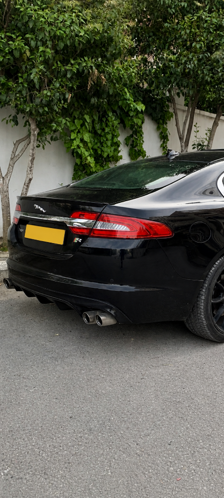 Jaguar  - 4