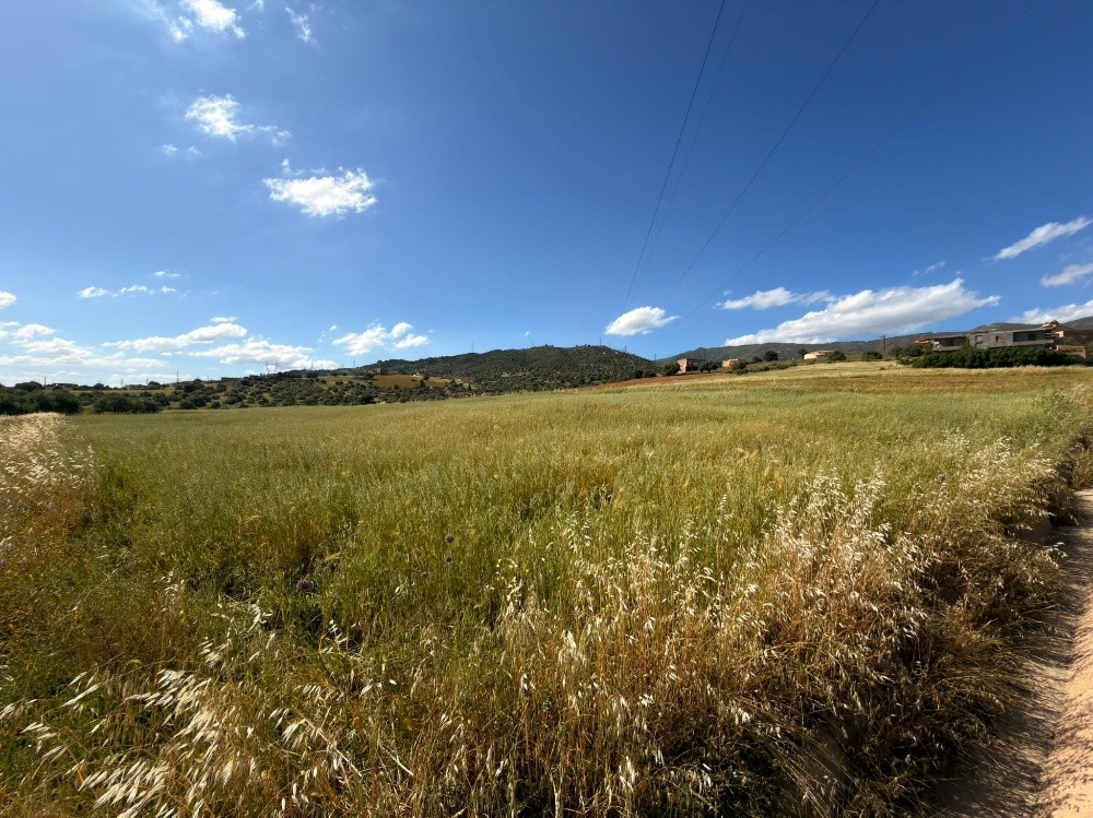 terrain - 3