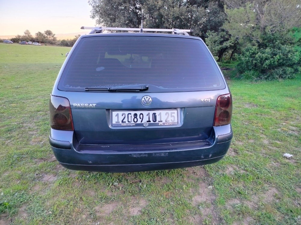 Passat  - 3