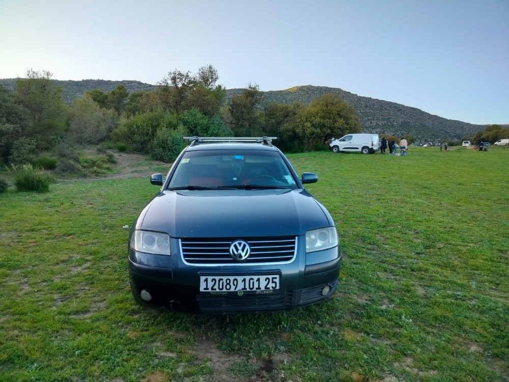 Passat  - 4