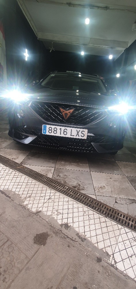 Cupra - 6