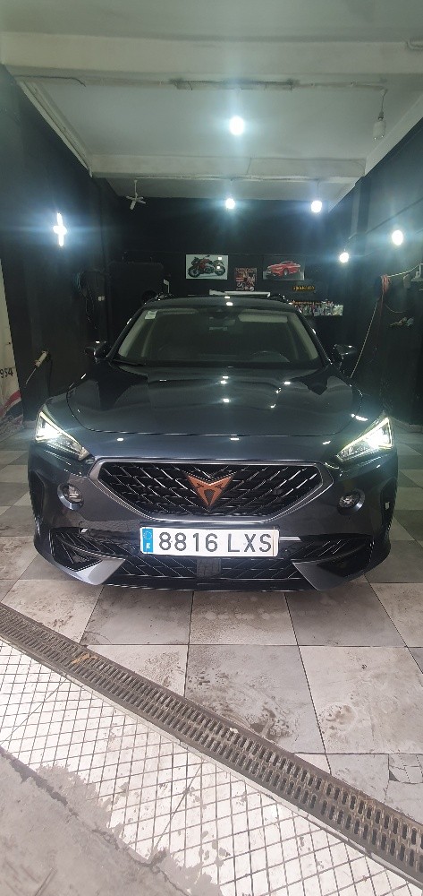 Cupra - 5