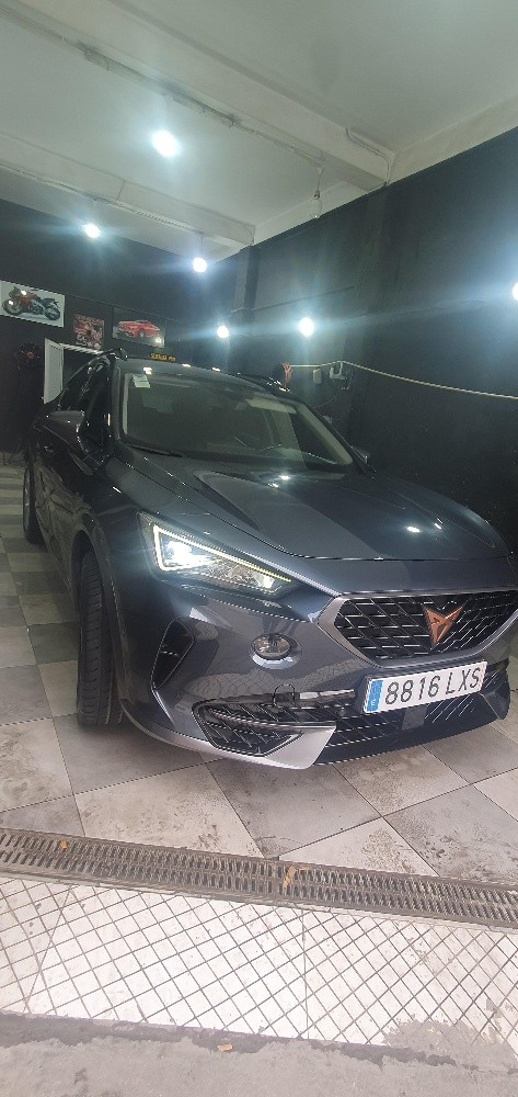 Cupra - 7
