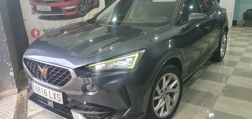 Cupra - 10