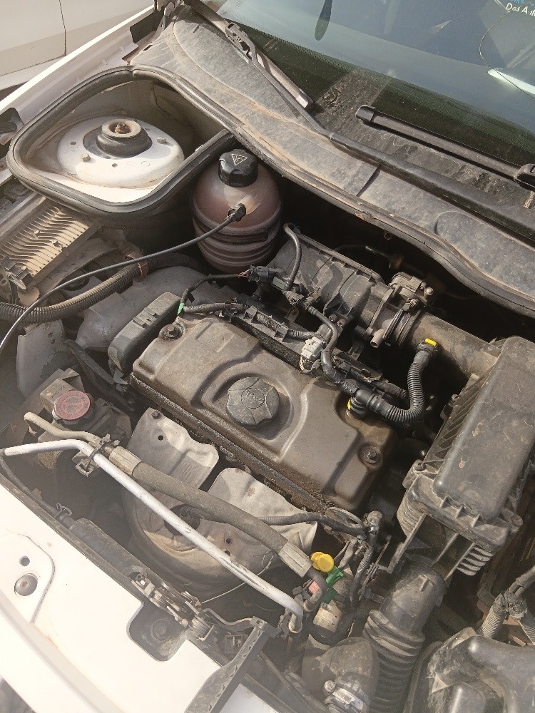 206 plus - 1