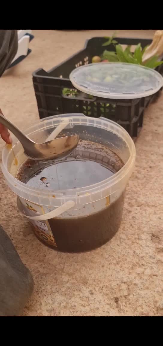 عسل الجرجير وعسل المرار - 4