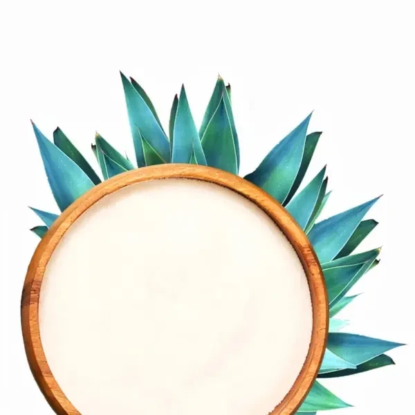 INULINE : d'AGAVE BIO-poudre - 1