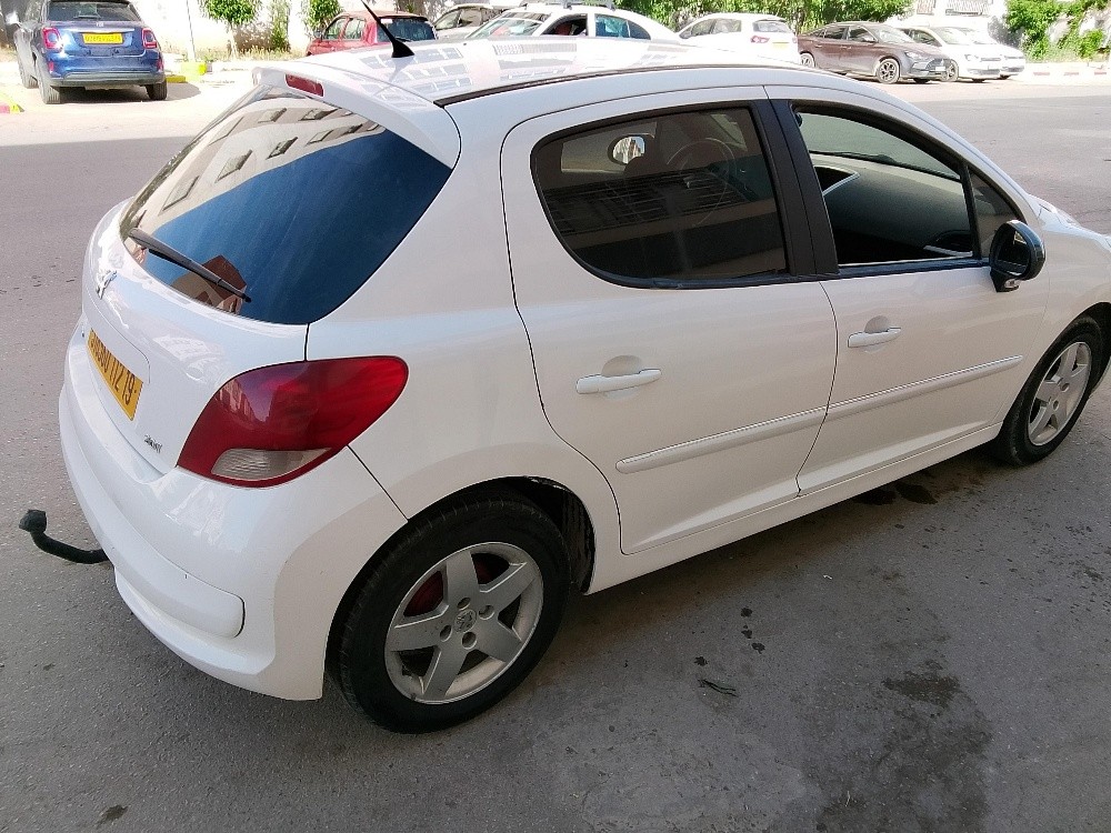 207 بنزين غاز 1.4 - 4