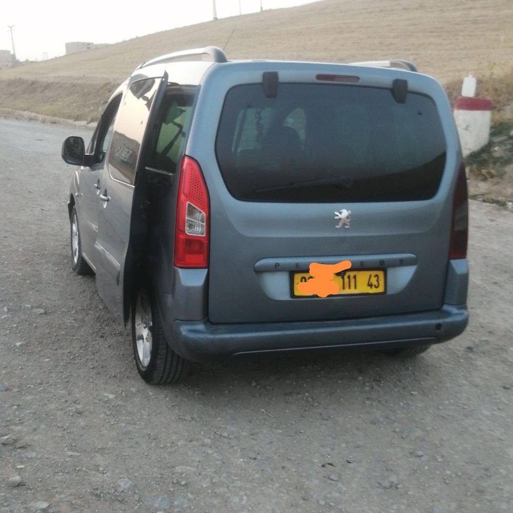 بيجو بارتنار - 2