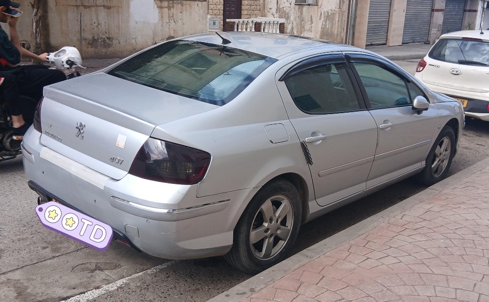 407 2009 1.6 Hdi - 4