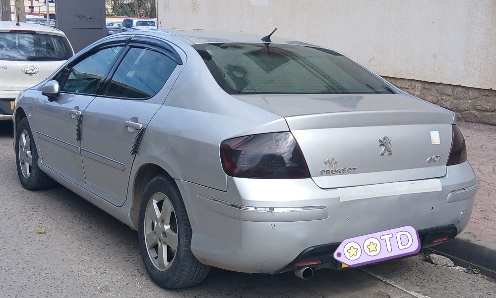 407 2009 1.6 Hdi - 3