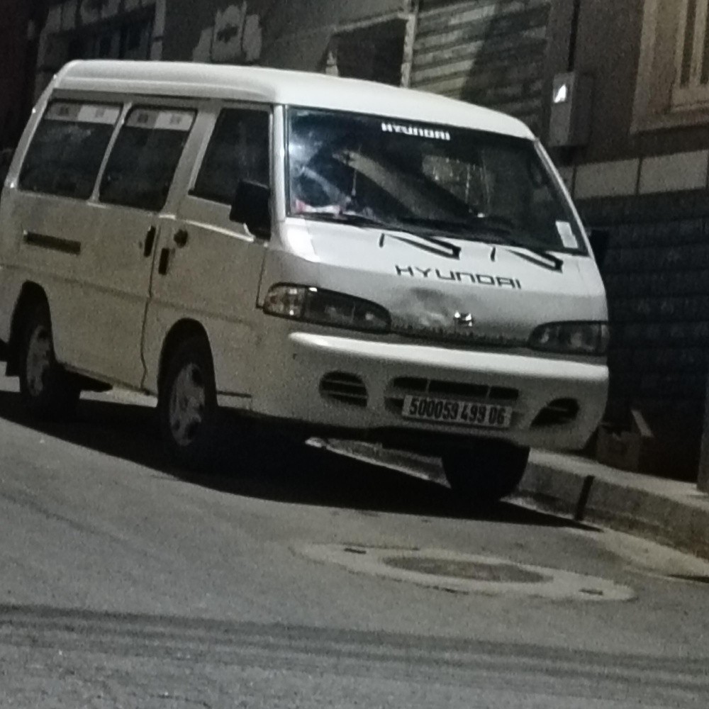 fourgon h 100 - 1