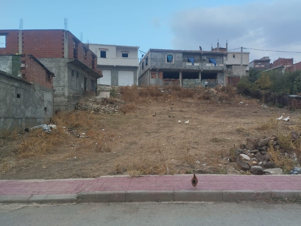 قطعة ارض - 1