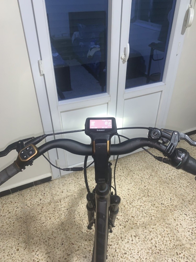 Vélo électrique de type Grand Tour  - 2