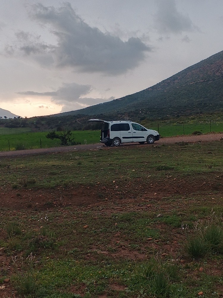 بارتنار - 13