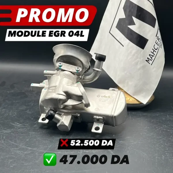 MODULE EGR 04L (VW/SEAT/SKODA/AUD - 1