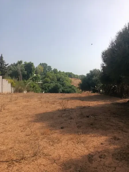 بيع أرض فلاحية - 4