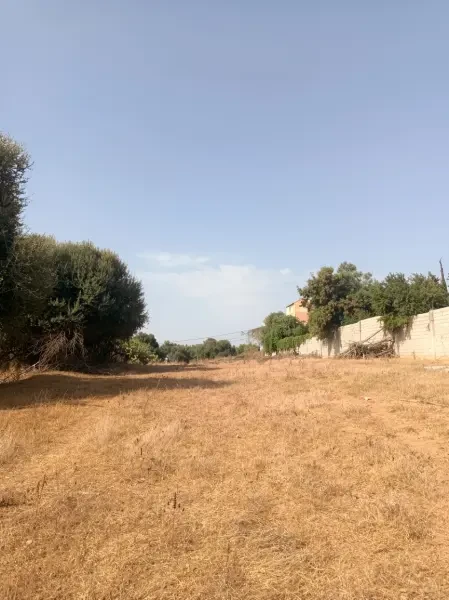 بيع أرض فلاحية - 3