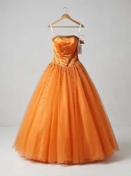 Robe de Mariée Princesse pour Tes - 1
