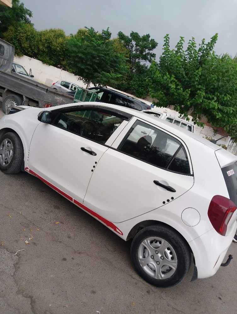 picanto star 2018 - 3