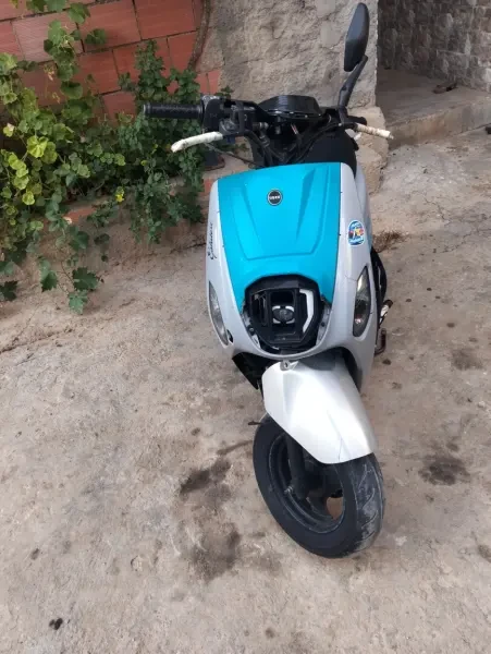 Estate vms x Vms x 2021 - 1