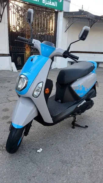 Vms Estate x 2025 - 1